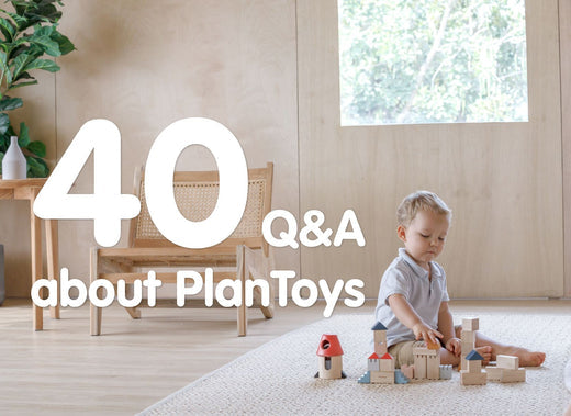 40 Q&A about PlanToys