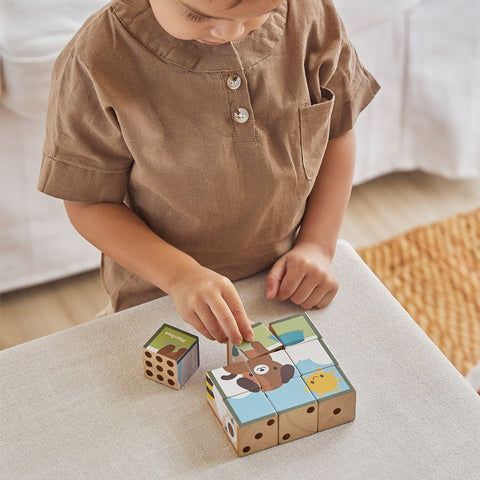 Animal Puzzle Cubes