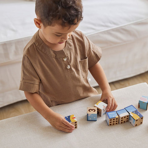 Animal Puzzle Cubes