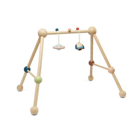 Play Gym - Orchard