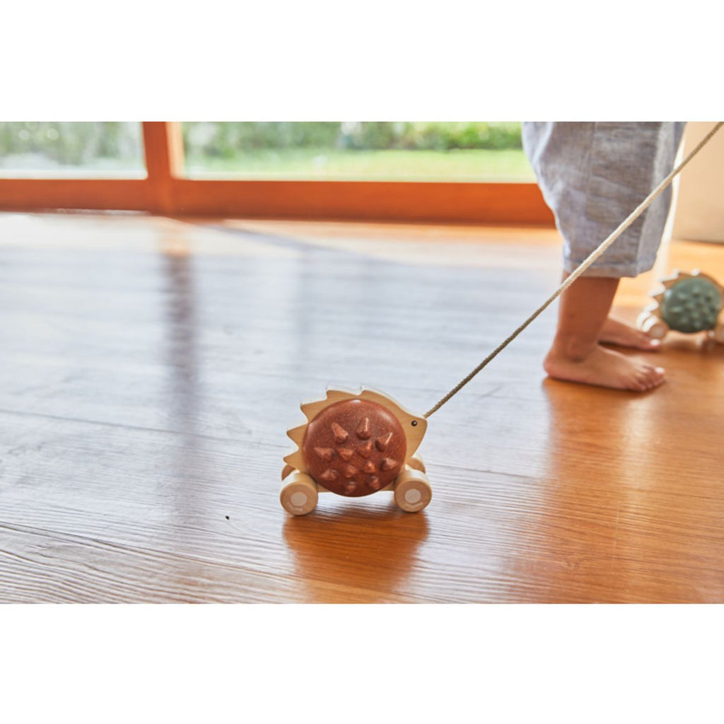 Kid playing PlanToys Pull Along - Hedgehog - Brown