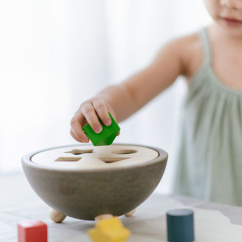 Shape Sorting Bowl