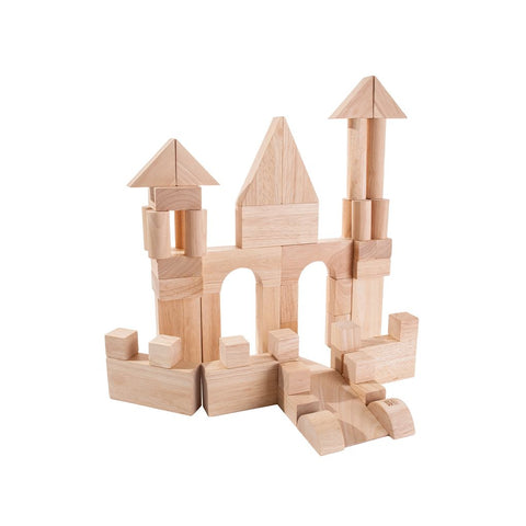 PlanToys natural 50 Unit Blocks wooden toy