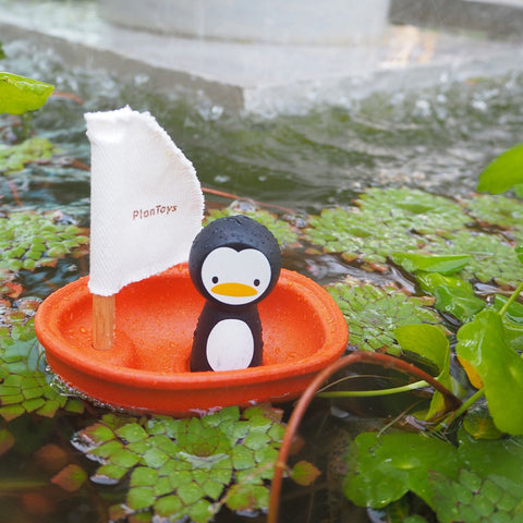 Sailing Boat - Penguin