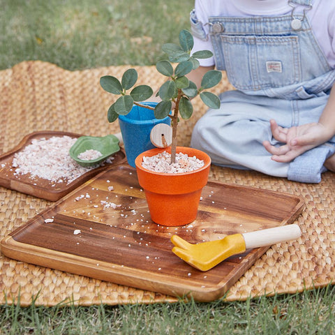 Gardening Set