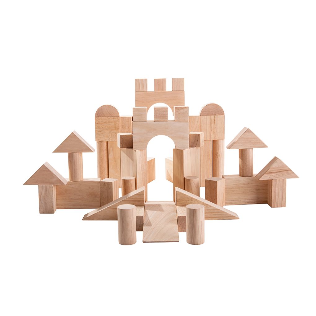 PlanToys natural 50 Unit Blocks wooden toy
